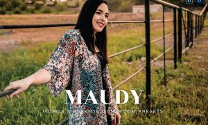 Maudy Mobile and Desktop Lightroom Presets