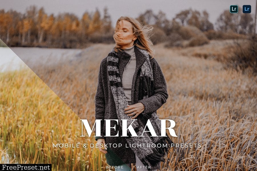 Mekar Mobile and Desktop Lightroom Presets