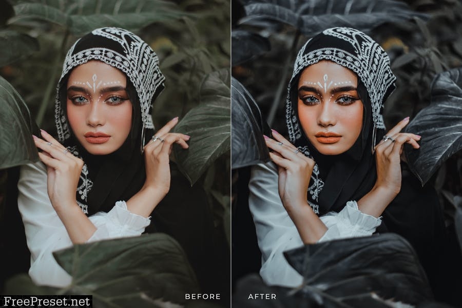 Memsona Mobile and Desktop Lightroom Presets