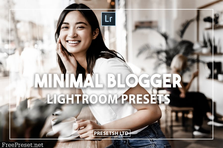 Minimal Blogger Presets