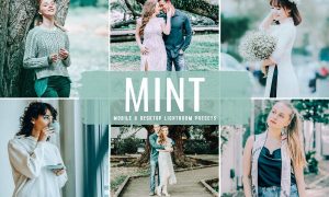 Mint Mobile & Desktop Lightroom Presets