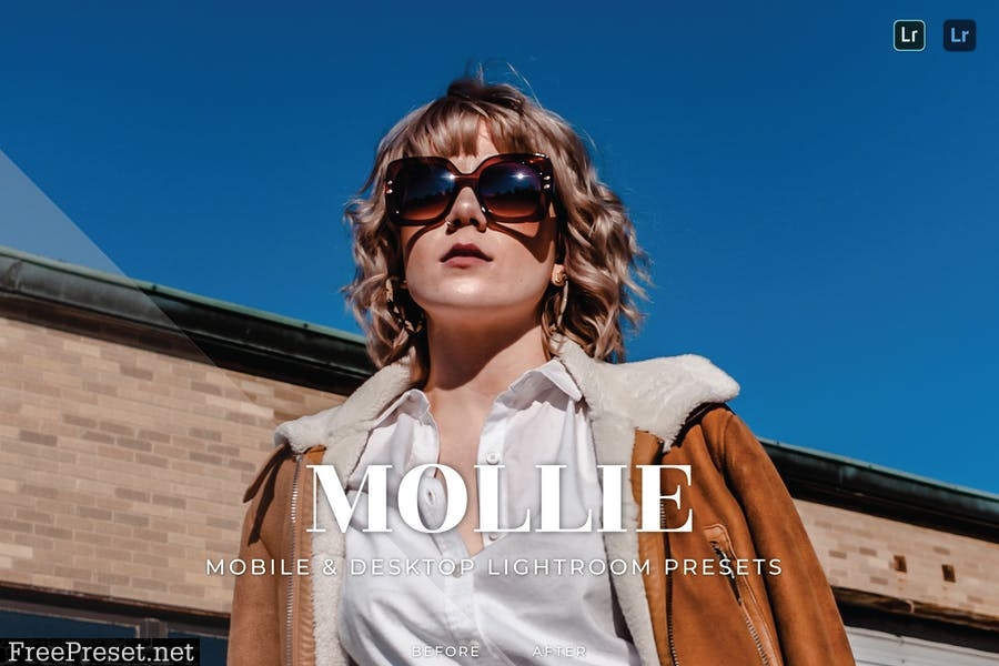 Mollie Mobile and Desktop Lightroom Presets