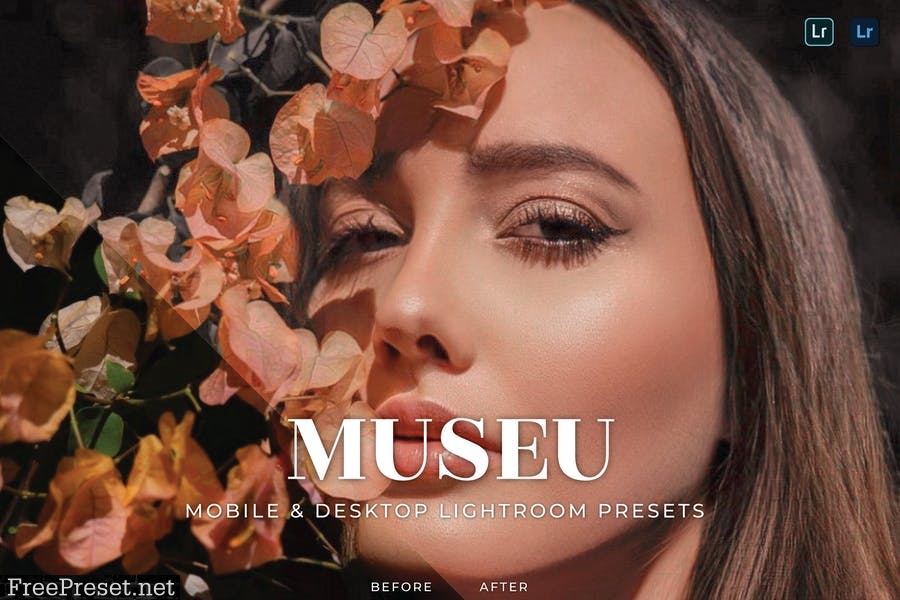 Museu Mobile and Desktop Lightroom Presets