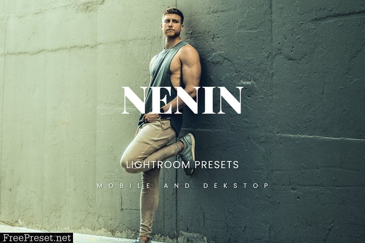 Nenin Lightroom Presets Dekstop and Mobile