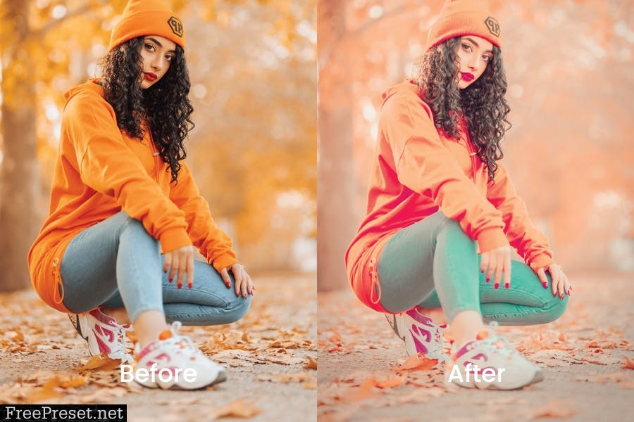 Nia Lightroom Presets Dekstop and Mobile