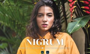 Nigrum Mobile and Desktop Lightroom Presets