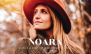 Noara Mobile and Desktop Lightroom Presets