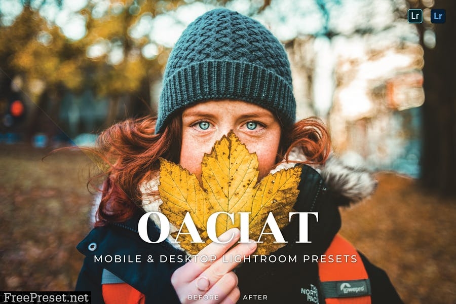 Oaciat Mobile and Desktop Lightroom Presets