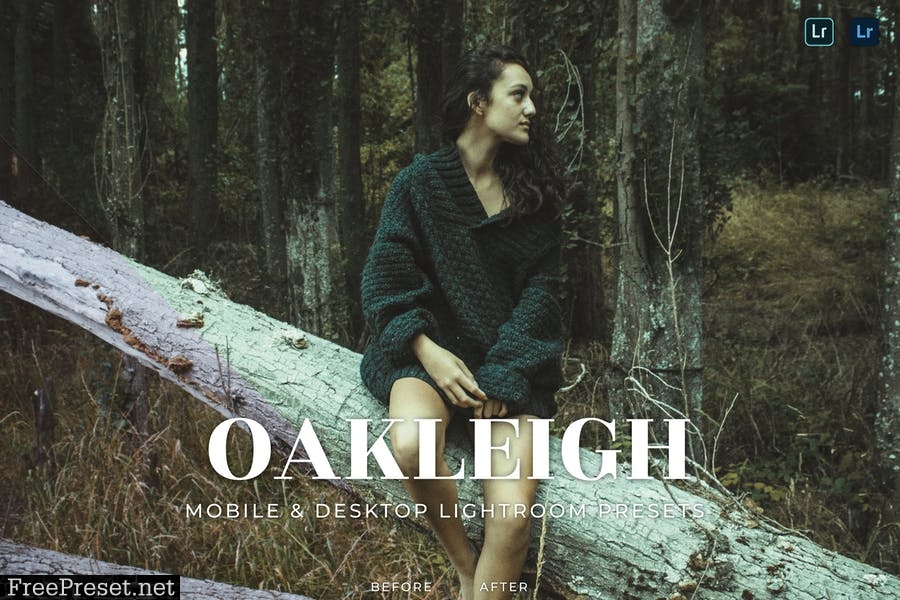 Oakleigh Mobile and Desktop Lightroom Presets