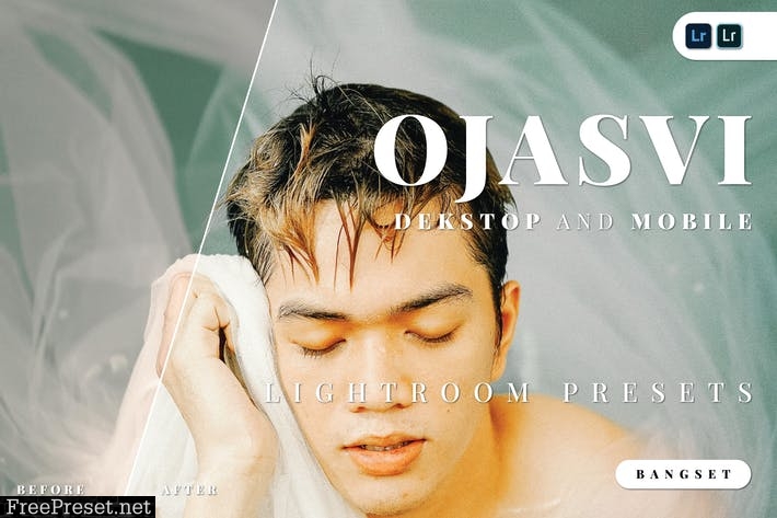 Ojasvi Desktop and Mobile Lightroom Preset