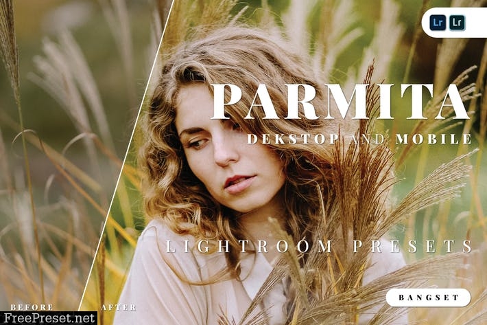 Parmita Desktop and Mobile Lightroom Preset