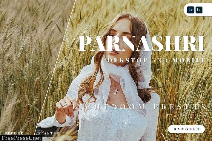 Parnashri Desktop and Mobile Lightroom Preset