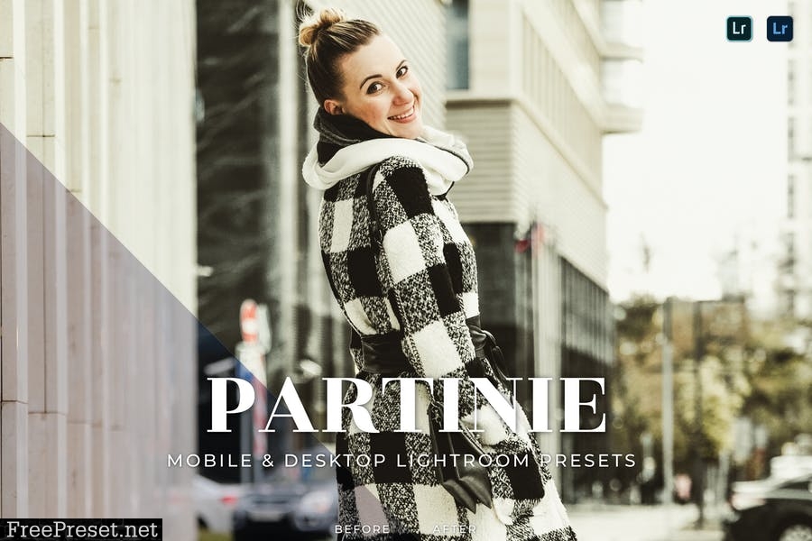 Partinie Mobile and Desktop Lightroom Presets