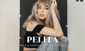 Pelita Mobile and Desktop Lightroom Presets