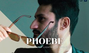 Phoebe Mobile and Desktop Lightroom Presets