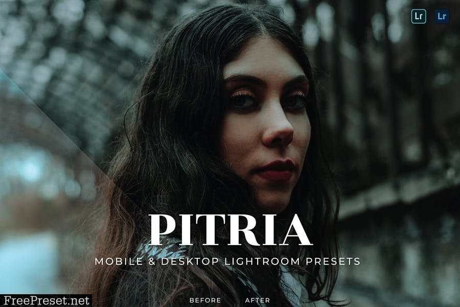 Pitria Mobile and Desktop Lightroom Presets