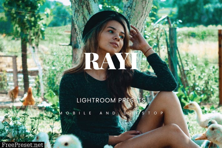 Rayi Lightroom Presets Dekstop and Mobile