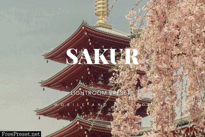 Sakur Lightroom Presets Dekstop and Mobile