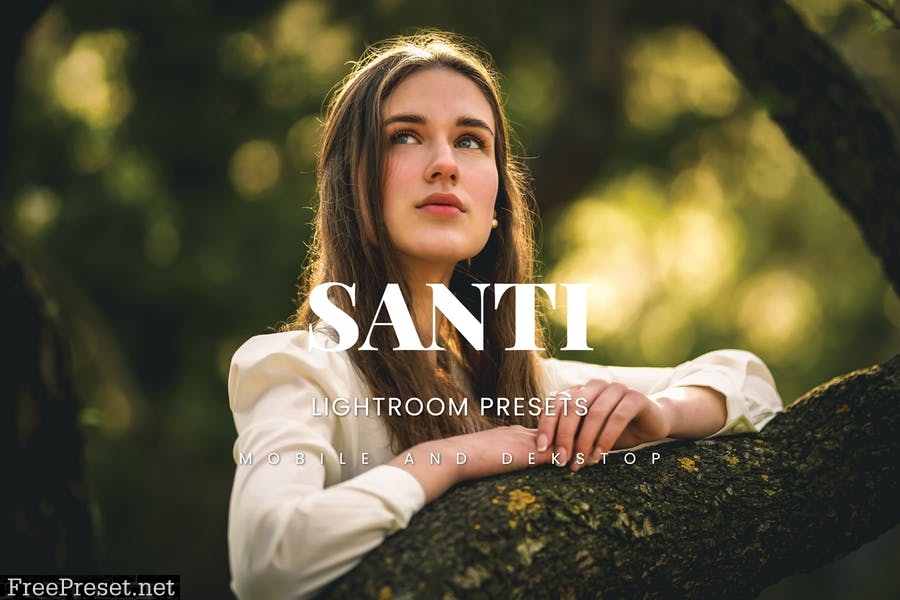 Santi Lightroom Presets Dekstop and Mobile