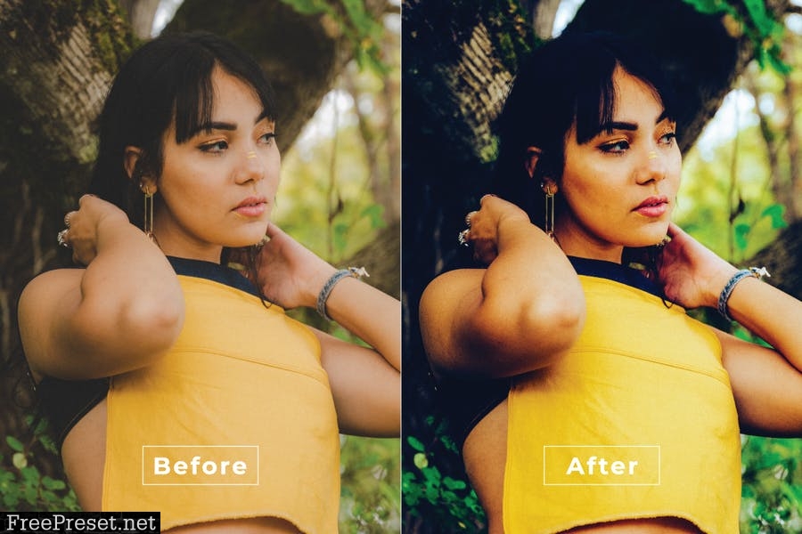 Seema Desktop and Mobile Lightroom Preset