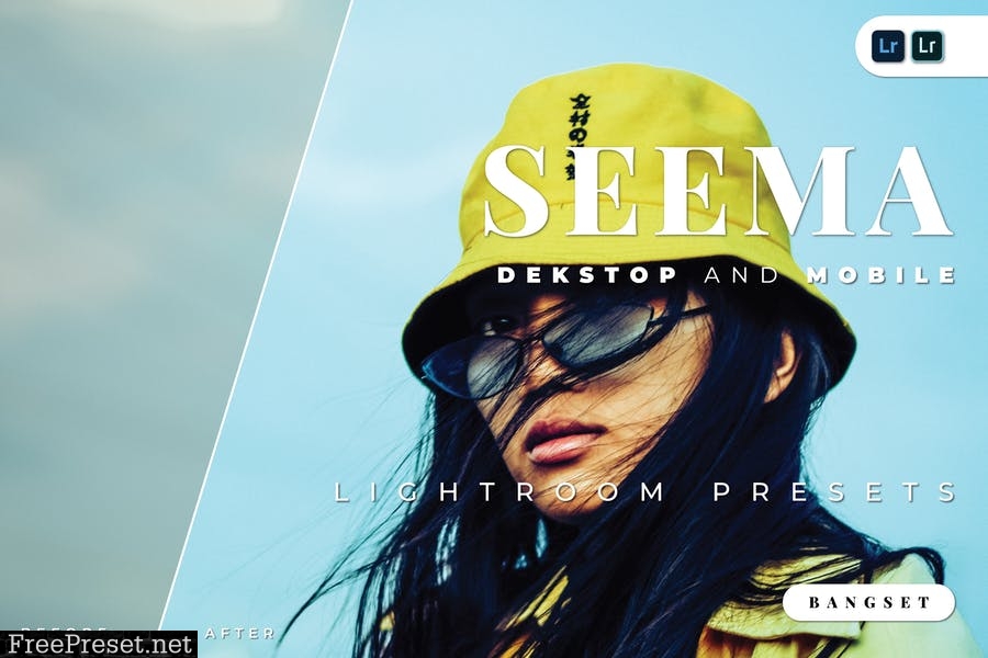 Seema Desktop and Mobile Lightroom Preset