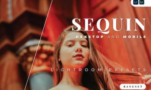 Sequin Desktop and Mobile Lightroom Preset