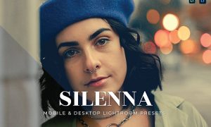 Silenna Mobile and Desktop Lightroom Presets