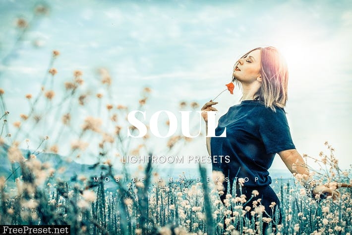 Soul Lightroom Presets Dekstop and Mobile