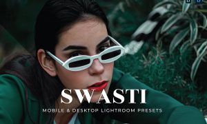 Swasti Mobile and Desktop Lightroom Presets