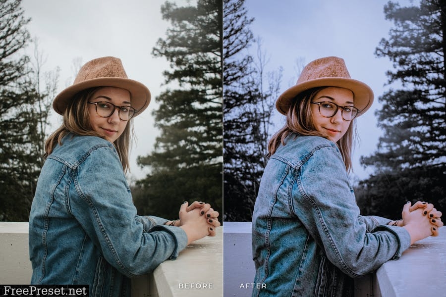 Tanya Mobile and Desktop Lightroom Presets