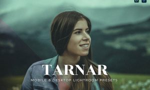 Tarnar Mobile and Desktop Lightroom Presets