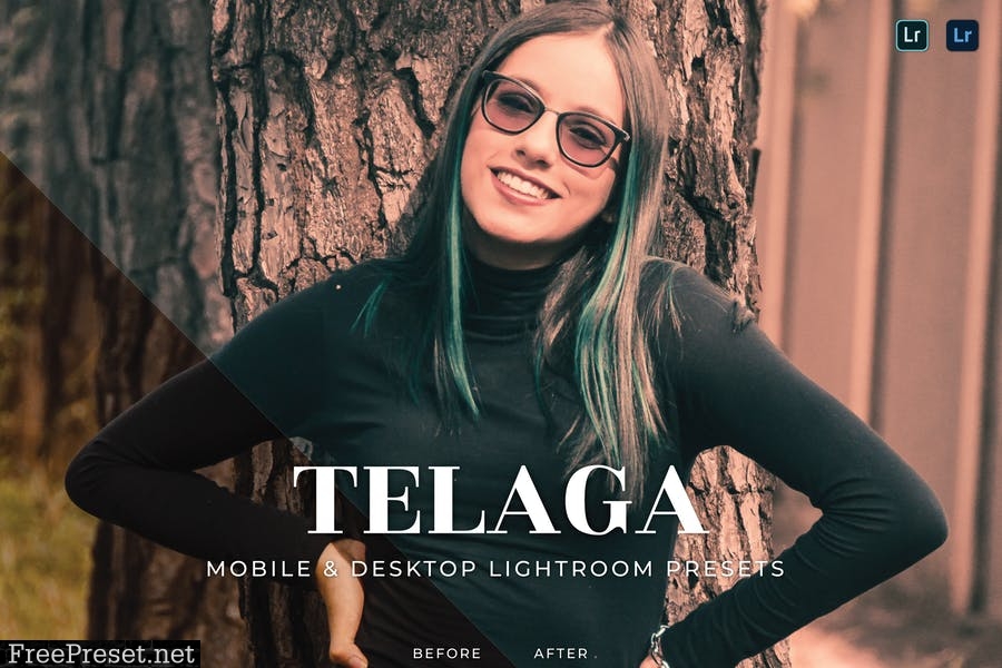 Telaga Mobile and Desktop Lightroom Presets