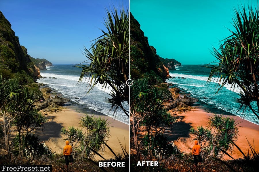 Tropicana Photoshop Action & Lightrom Presets