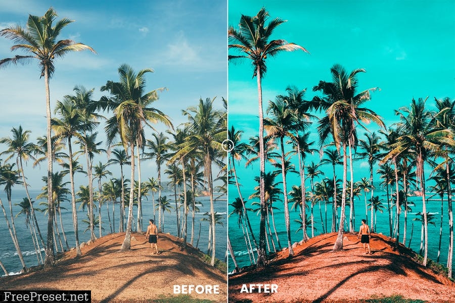 Tropicana Photoshop Action & Lightrom Presets