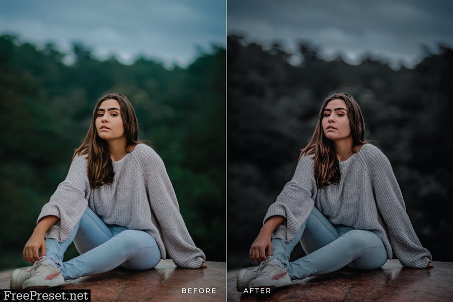 Ulfasa Mobile and Desktop Lightroom Presets