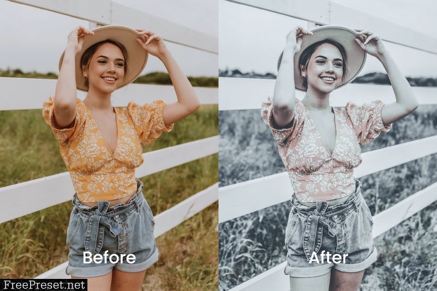 Venya Lightroom Presets Dekstop and Mobile