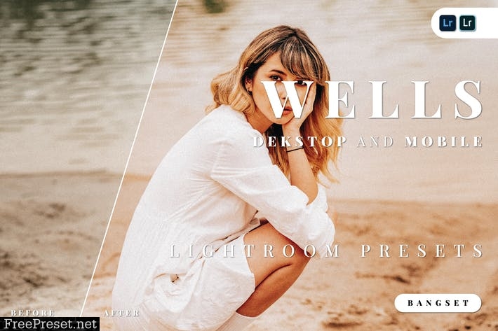 Wells Desktop and Mobile Lightroom Preset