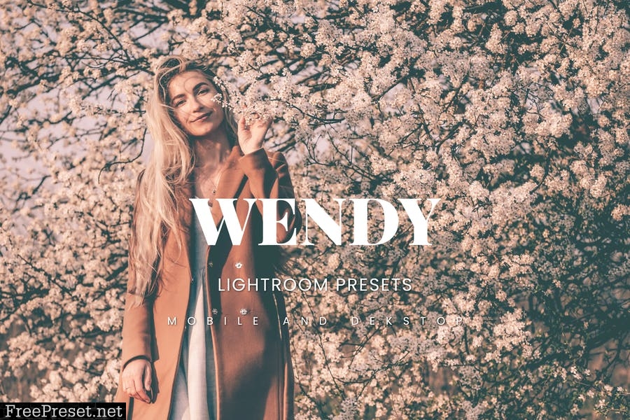 Wendy Lightroom Presets Dekstop and Mobile