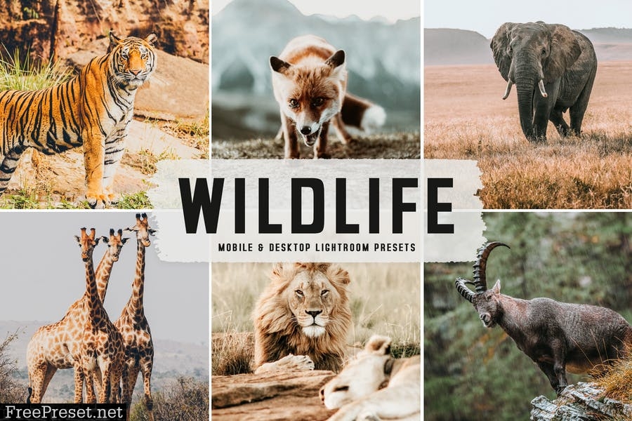 Wildlife Mobile & Desktop Lightroom Presets
