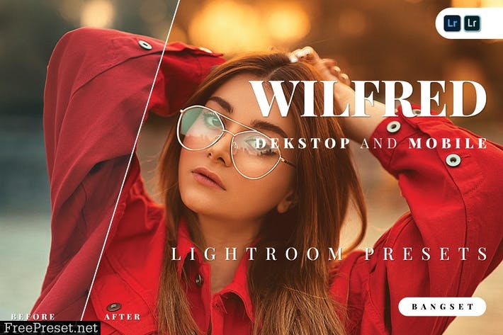 Wilfred Desktop and Mobile Lightroom Preset