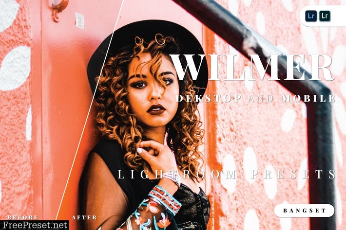 Wilmer Desktop and Mobile Lightroom Preset