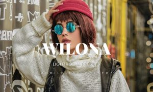 Wilona Lightroom Presets Dekstop and Mobile