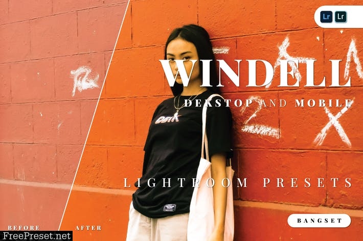Windell Desktop and Mobile Lightroom Preset