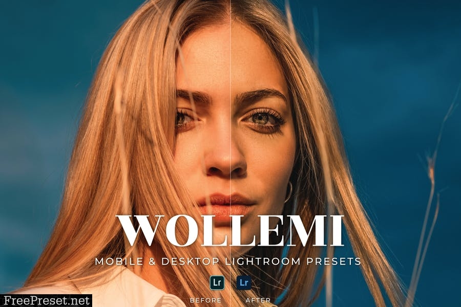 Wollemi Mobile and Desktop Lightroom Presets