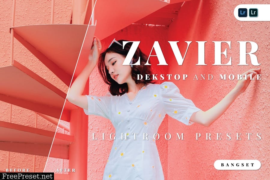 Zavier Desktop and Mobile Lightroom Preset