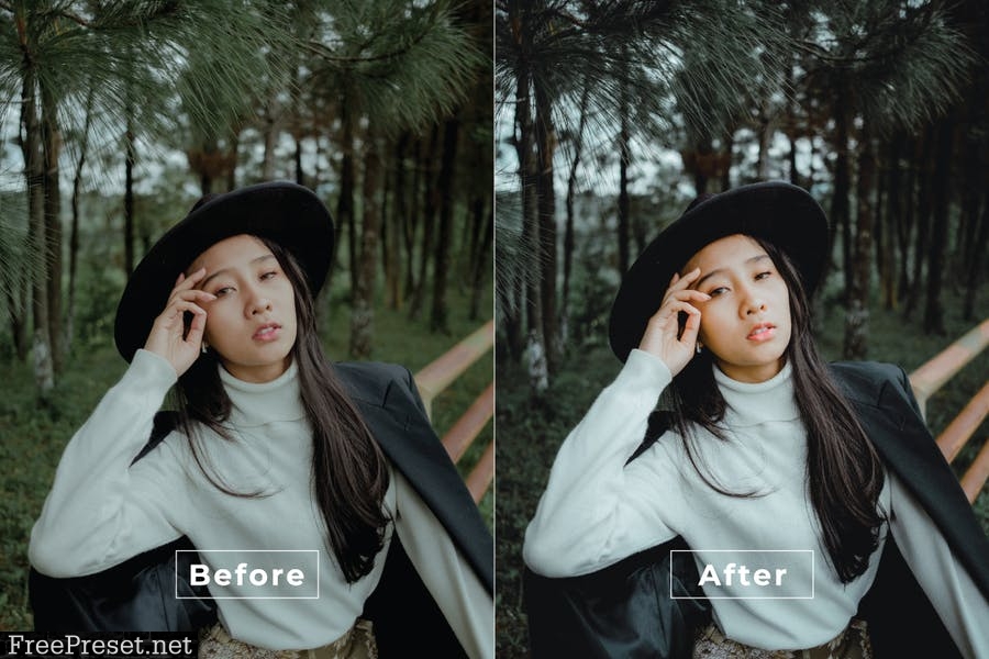 Zemel Desktop and Mobile Lightroom Preset