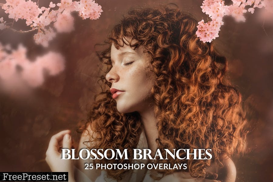 25 Painted blossom branches photo overlays