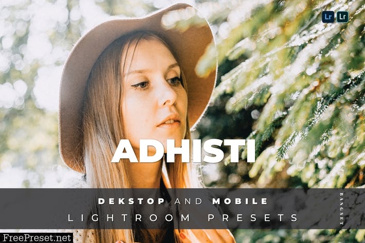 Adhisti Desktop and Mobile Lightroom Preset