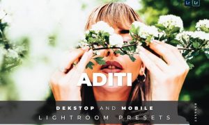 Aditi Desktop and Mobile Lightroom Preset