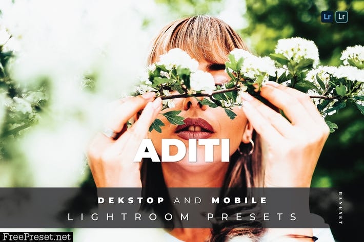 Aditi Desktop and Mobile Lightroom Preset